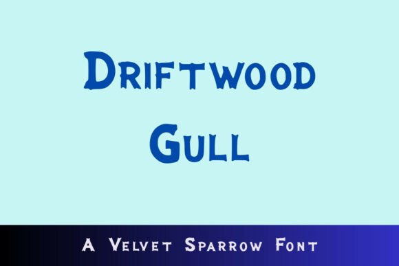 Driftwood Gull: Coastal Typography