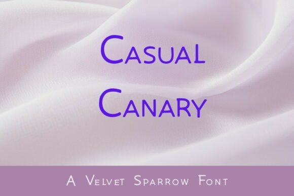 Integrating Casual Canary into Creative and Professional Workflows